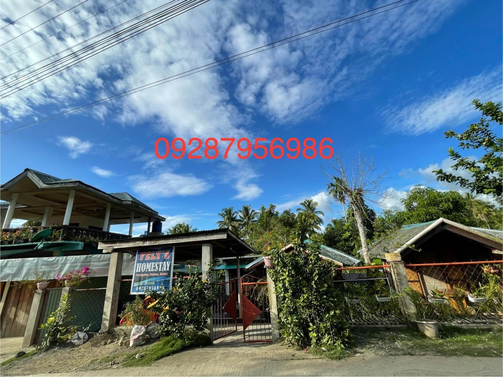 Fely'S Homestay Batuan Exterior photo